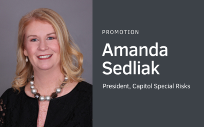 Amanda Sedliak Promoted to CSRisks President