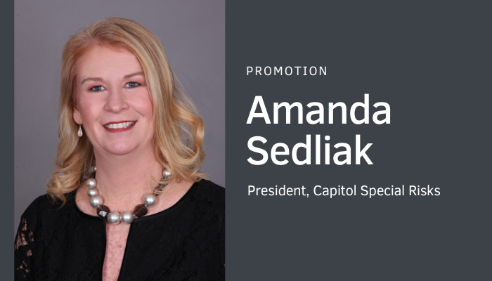 Amanda Sedliak President CSRisks